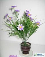 婚禮 慶典 禮儀 非洲菊 高仿真度仿真花H118[批發]_世界工廠網中國產品信息庫