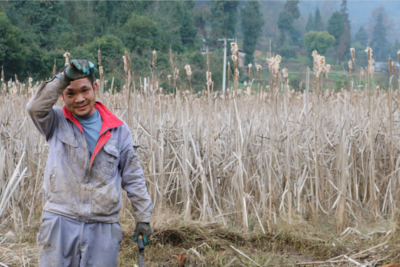 【把時間搶回來 把損失補回來】禮儀街道:黨建引領壩區建設 產業助力群眾增收