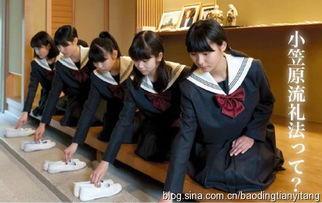 正坐的禮儀之談 從形制到心境的東方智慧